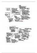 Mind map for attachment in psychology 