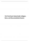  551 Final Exam Study Guide Collagen&comma; Bone&comma; and Musculoskeletal System&period;pdf