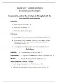 Document preview thumbnail