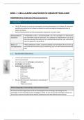 Neuroanatomie en Pathologie