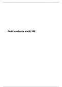 Audit evidence audit 378