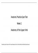 Upper&lowbar;Limb&lowbar;Anatomy&lowbar;Spot&lowbar;Test &vert; Peripheral Nervous System &vert; University Practical &vert; Complete Answer Key Graded A&plus;