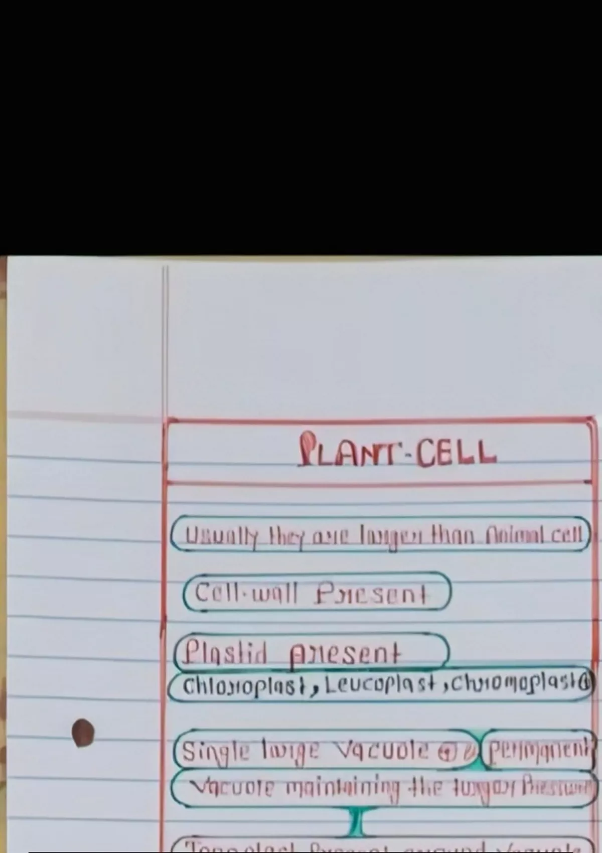 "Cell Biology Essentials: Plant vs. Animal Cell Structure and Function ...