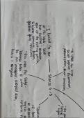 post-2000's specified poetry alevel mindmap 'chainsaw versus the pamaps grass'