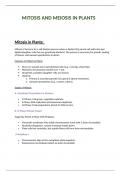 mitosis and meiosis in plant cell