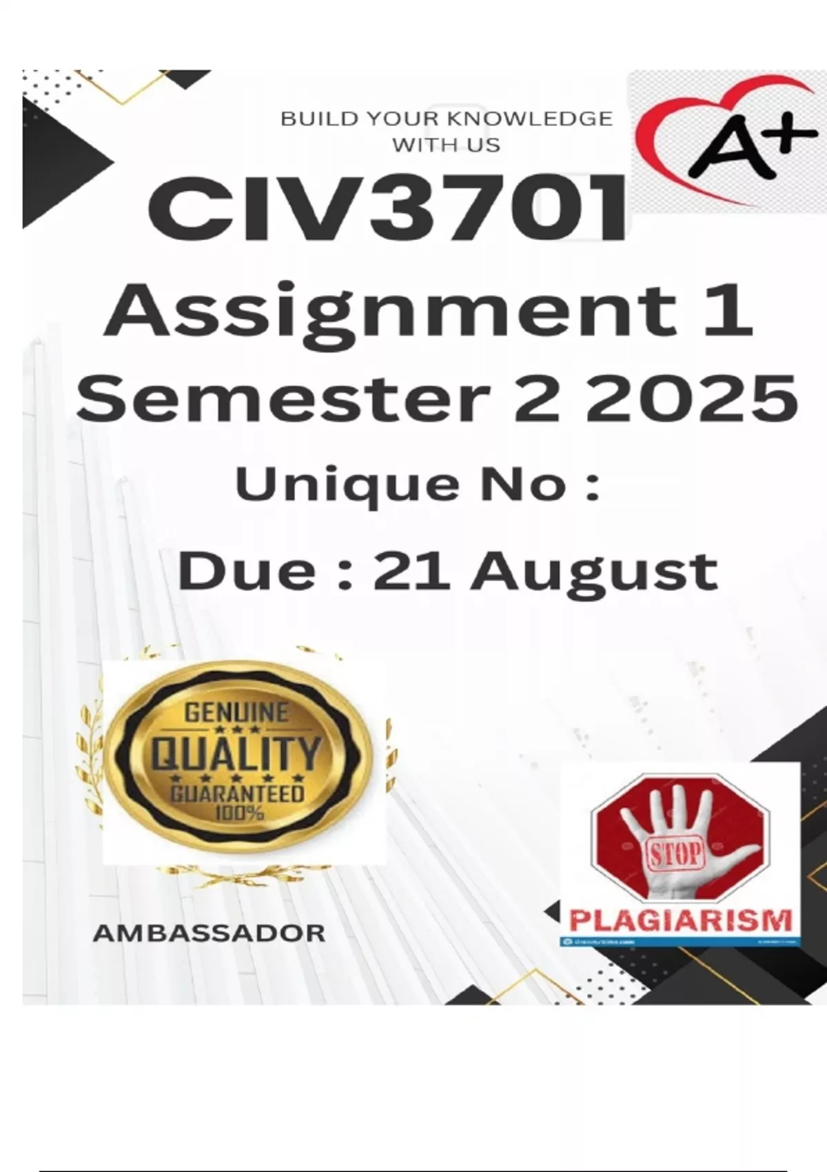 CIV3701 Assignment 1 (COMPLETE ANSWERS) Semester 2 2025 - DUE 21 August ...