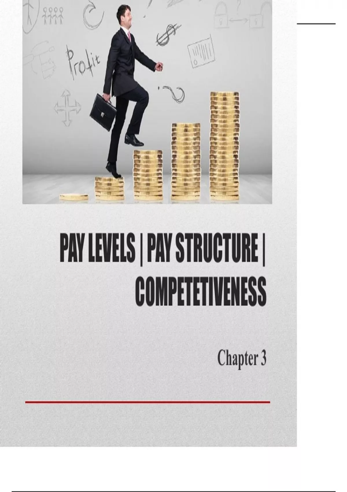 PAY LEVELS | PAY STRUCTURE | COMPETETIVENESS - Human Resource ...