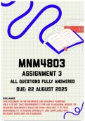 MNM4803 Assignment 3 Memo &vert; Due 22 August 2025