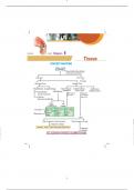 Class 9 bio ch 2 ncert based exam paper 