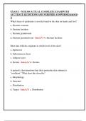 EXAM 3 - NUR 504 ACTUAL COMPLETE EXAM&vert;WITH  ACCURATE QUESTIONS AND VERIFIED ANSWERS&vert;GRADED  A