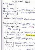 DIFFERENCE BETWEEN MONOCOTS AND DICOTS