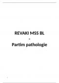 samenvatting REVAKI MSS BL&comma; partim pathologie  3de bach 2024-2025