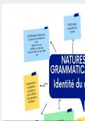 Grammaire 
