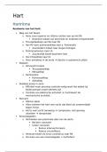 Samenvatting Hart 