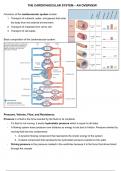 SILVERTHORN SUMMARY&sol;SAMENVATTING - Chapter 14&comma; 15&comma; 16 &lpar;Cardiovascular System & Blood&rpar;
