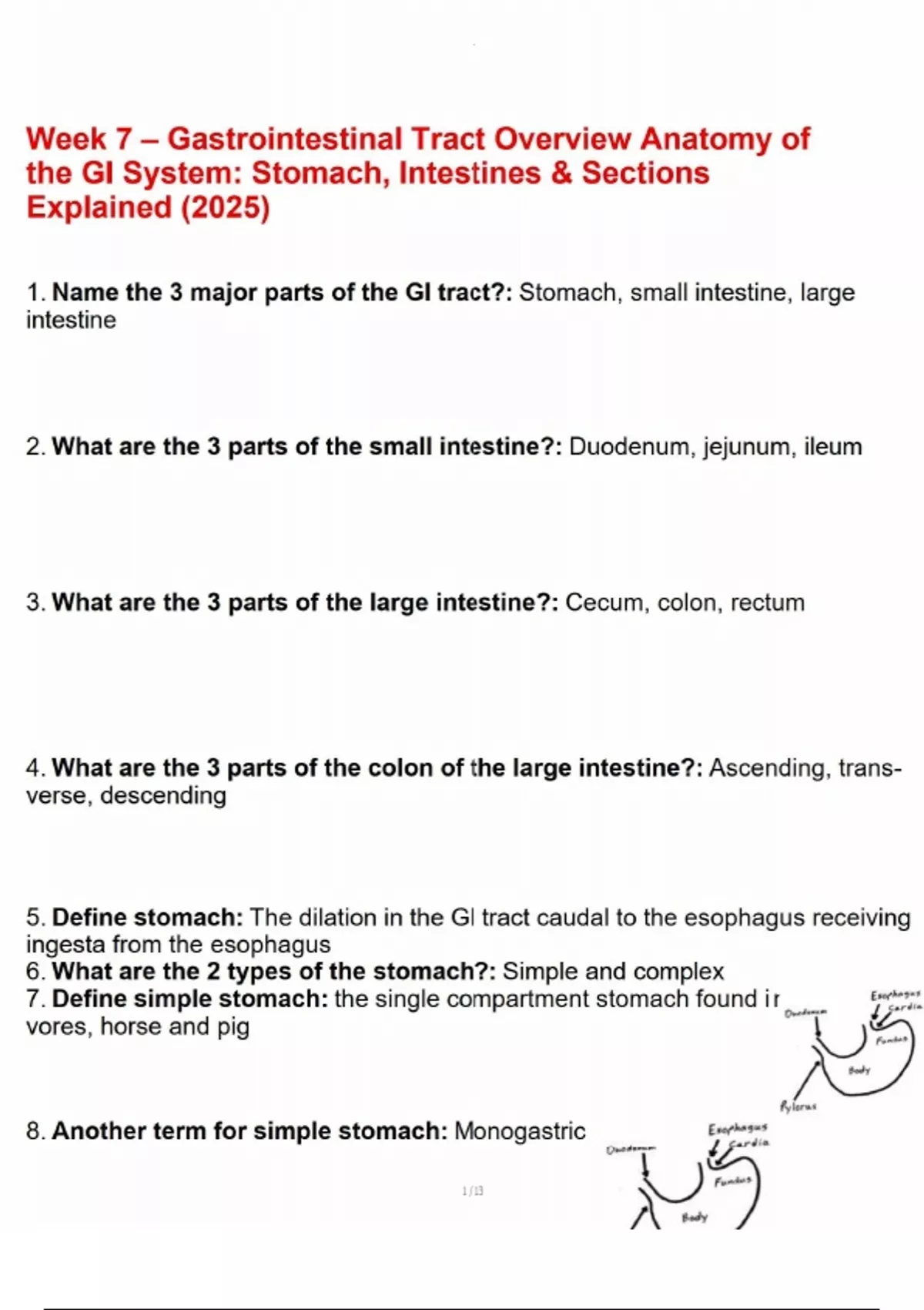 Week 7 – Gastrointestinal Tract Overview Anatomy of the GI System ...