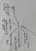 post-2000's specified poetry Alevel mindmap 'The Lammas Hiereling'