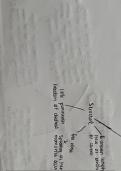 post-2000's specified poetry Alevel mindmap 'To my nine year old self'