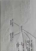 post 2000's specified poetry Alevel mindmap 'A minor role'