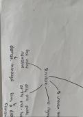 post-2000's specified poetry Alevel mindmap 'Giuseppe'