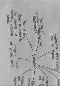 post-2000's specified poetry Alevel mindmap 'Out of the bag'