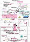 Class notes Anti microbial drugs  The Antimicrobial Drugs