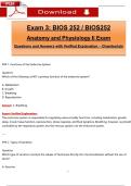 Exam 3&colon; BIOS 252 &sol; BIOS252 &ndash; Anatomy and Physiology II &lpar;2025&rpar; &vert; Chamberlain University &vert; Questions & Answers with Verified Explanations