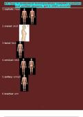 ATI Teas 7- anatomical terms&comma;positions complete questions and verified answers&comma; get it 100 accurate