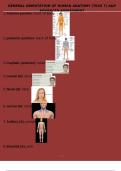 GENERAL ORIENTATION OF HUMAN ANATOMY &lpar;TEAS 7&rpar; A&P ADVANCED ASSESSMENT&period;