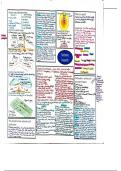 Detailed Physical Geography Topic Summary Sheets - AQA GCSE Geography