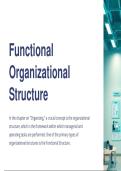 FUNCTIONAL STRUCTURE OF ORGANIZING 