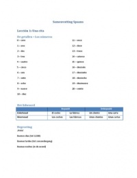 Samenvatting Español Profesional 1 - Lección 1 t/m 7 + werkwoorden (incl. aantekeningen les)