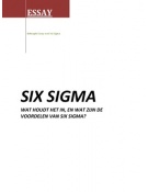 Essay Six Sigma