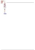 Test Bank For Development Across the Life Span 10th Edition &lpar; Author&semi; Robert S&period; Feldman&rpar; All Chapters 1-19 &vert; Latest Edition