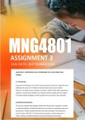 MNG4801 Assignment 3 Semester 2 2026 - Due September 2026