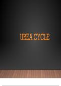 Latest Preview Thumbnail