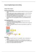 Alle tentamenstof Inspanningsfysiologie &lpar;BWB226&rpar; complete samenvatting