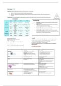 OCR A level Biology Specification