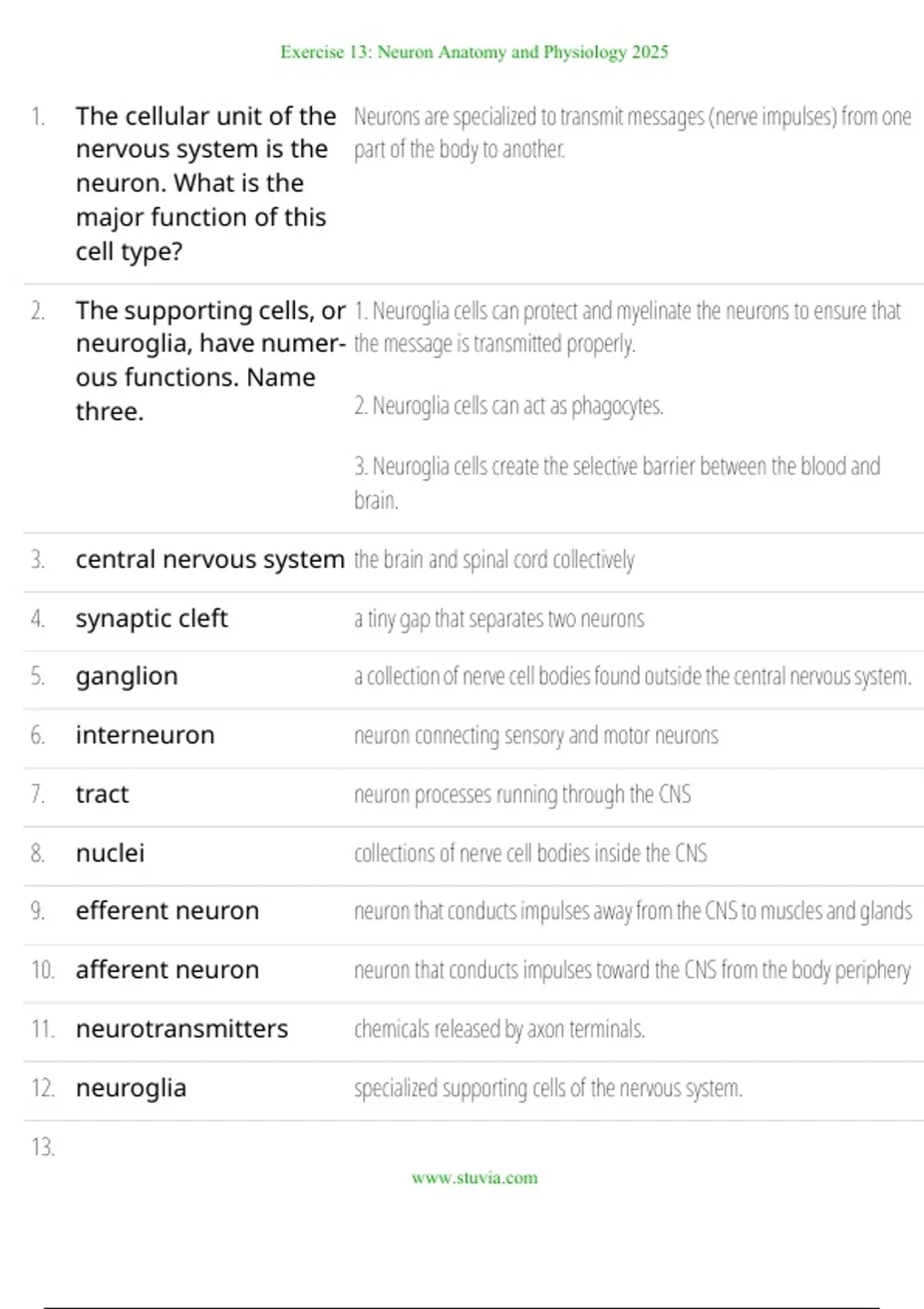 Neuron Study Guide Exercise 13 Neuron Anatomy & Physiology – Study Guide - Nursing ...