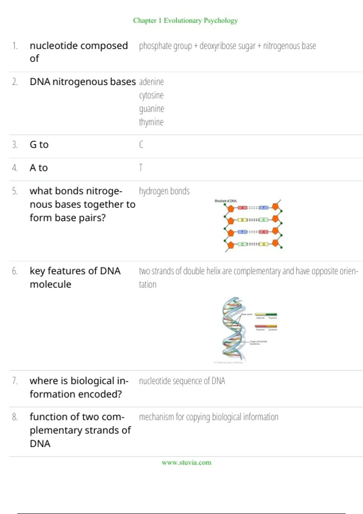 Chapter 1 – Genetics: From Genes to Genomes 2025/2026 – Verified ...