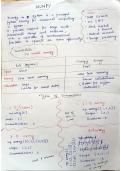 NumPy Notes for BCA &ndash; Python Data Analysis Guide