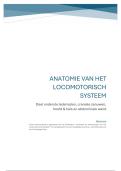 anatomie en embryologie van het locomotorisch systeem deel Onderste lidmaat