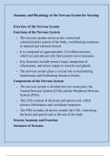 Anatomy and Physiology of the Nervous System for Nursing