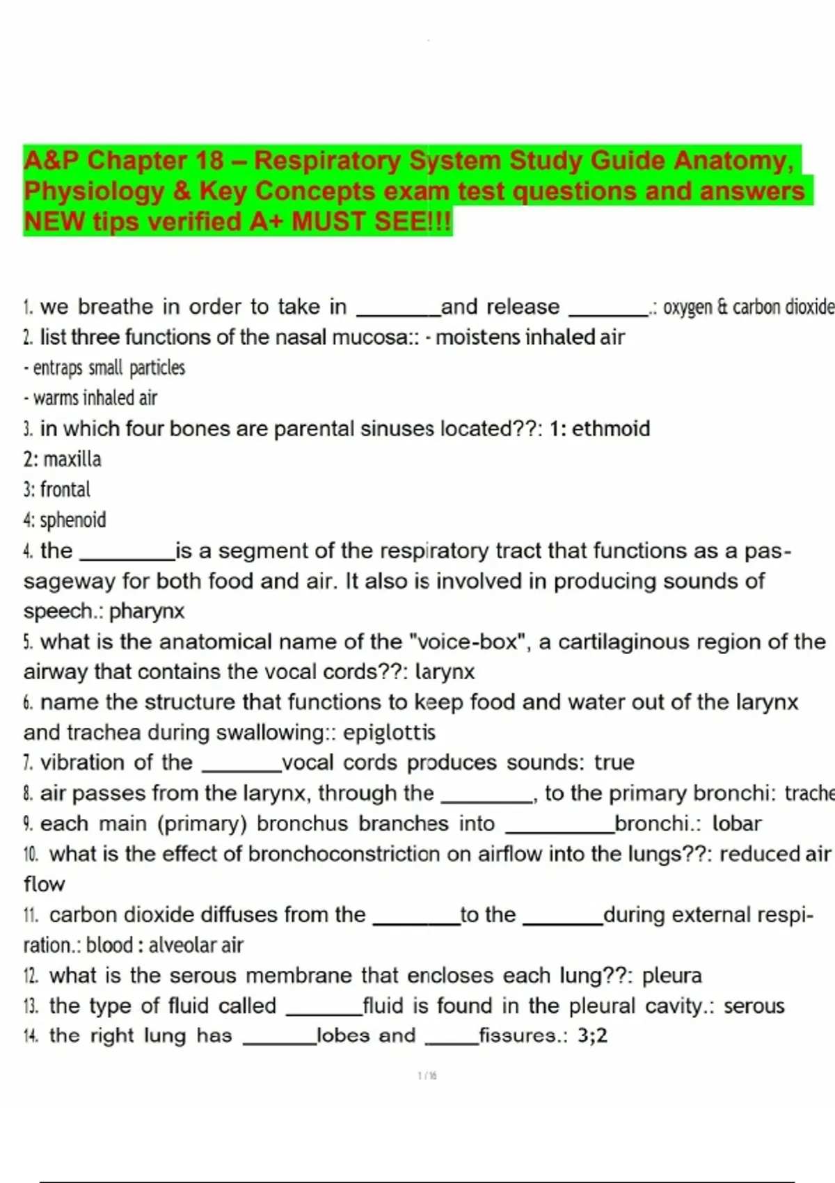 Respiratory system visual data 4