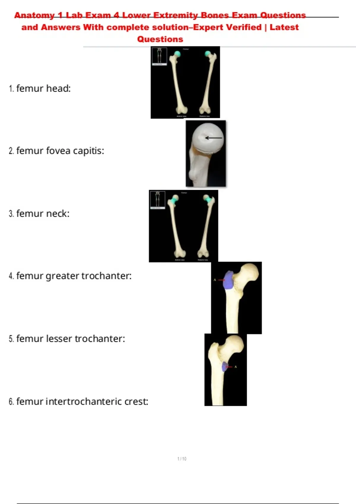 Anatomy 1 Lab Exam 4 Lower Extremity Bones Exam Questions and Answers ...