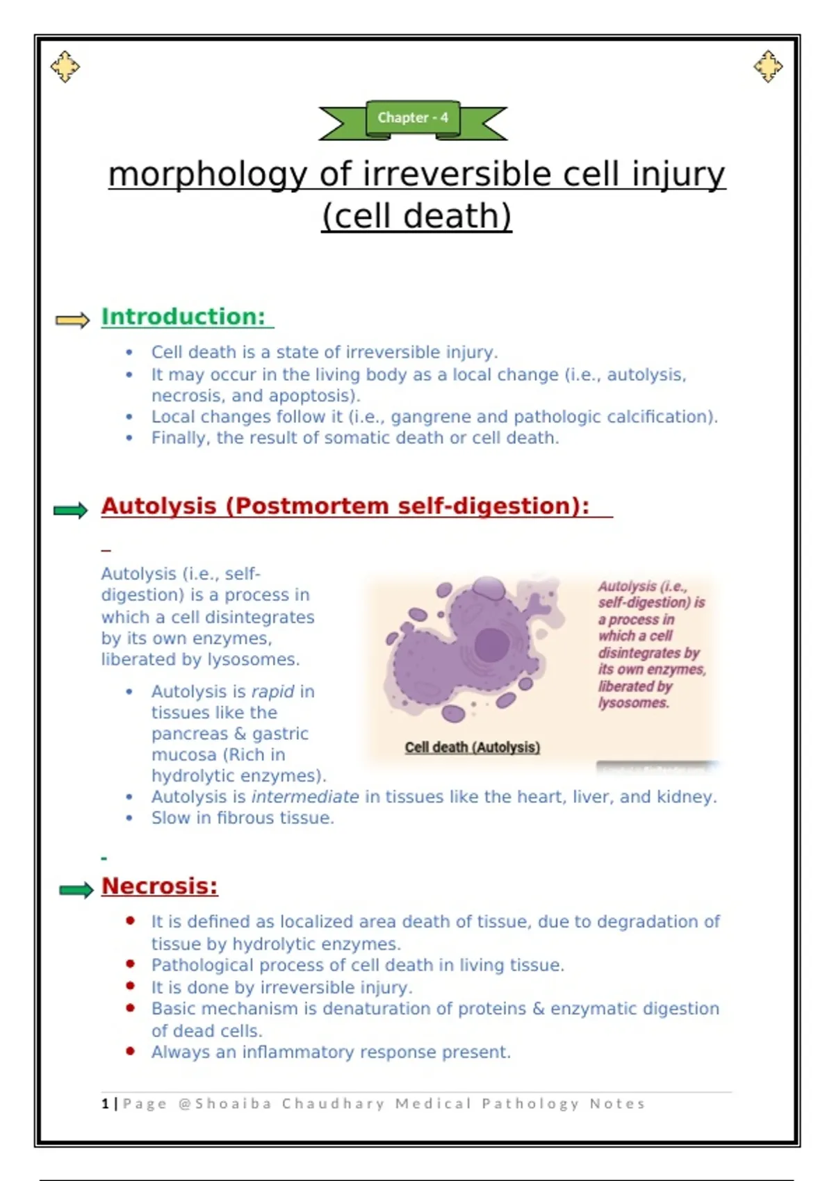 “Pathology Notes on Irreversible Cell Injury – With Diagrams & MCQs ...