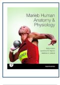 Human Anatomy & Physiology 12th Edition Test Bank &vert; Marieb&comma; Hoehn&comma; Haynes&comma; Abbott &vert; Verified Answers &plus; Rationales