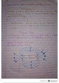 Summary -  Physical sciences 