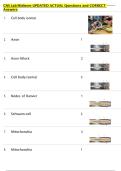 CNS Lab Midterm UPDATED ACTUAL Questions and CORRECT  Answers 