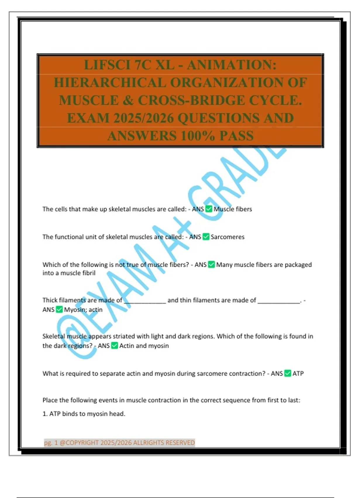 LIFSCI 7C XL - ANIMATION: HIERARCHICAL ORGANIZATION OF MUSCLE & CROSS ...
